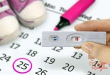 أسهل طريقة لحساب أيام التبويض للحمل بولد