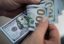 التسجيل في المنحة القطرية 2023 للأسماء الجديدة